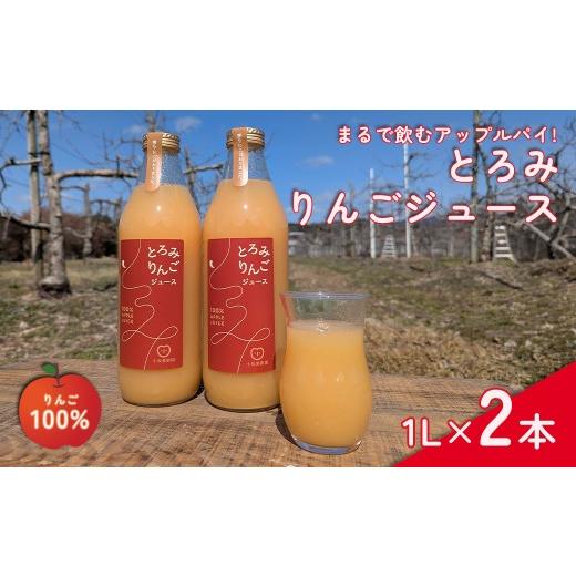 ふるさと納税 果汁飲料 りんご 岩手県 花巻市 とろみりんごジュース 1L×2本 2444