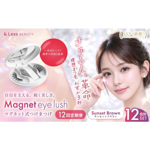 ふるさと納税 美容 熊本県 西原村 12回定期便 マグネットつけまつげ サンセットブラウン マグネット式つけまつげ 長め まつ毛 つけまつげ ナチュラル 磁気ま…