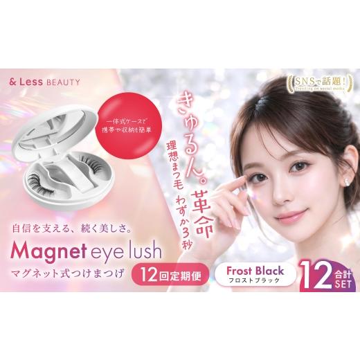 ふるさと納税 美容 熊本県 西原村 12回定期便 マグネットつけまつげ フロストブラック マグネット式つけまつげ 長め まつ毛 つけまつげ ナチュラル 磁気まつ…