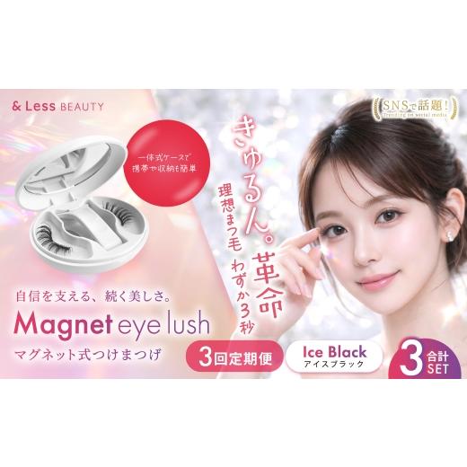 ふるさと納税 美容 熊本県 西原村 3回定期便 マグネットつけまつげ アイスブラック マグネット式つけまつげ 長め まつ毛 つけまつげ ナチュラル 磁気まつげ …