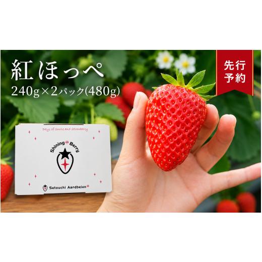 ふるさと納税 いちご 山口県 平生町 令和 8 年度 先行予約 紅ほっぺ 約 480 g ( 令和8年1月初旬〜順次発送予定 ) | 紅ほっぺ いちご イチゴ 苺 産地直送 …