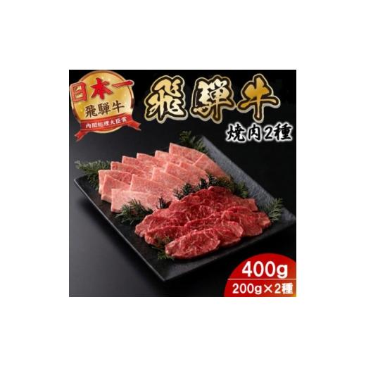 ふるさと納税 牛肉 焼肉・バーベキュー 岐阜県 羽島市 プチ贅沢 飛騨牛焼肉2種セット2人前 400g 赤身・霜降り(モモ・カタ/バラカルビ) 1753979