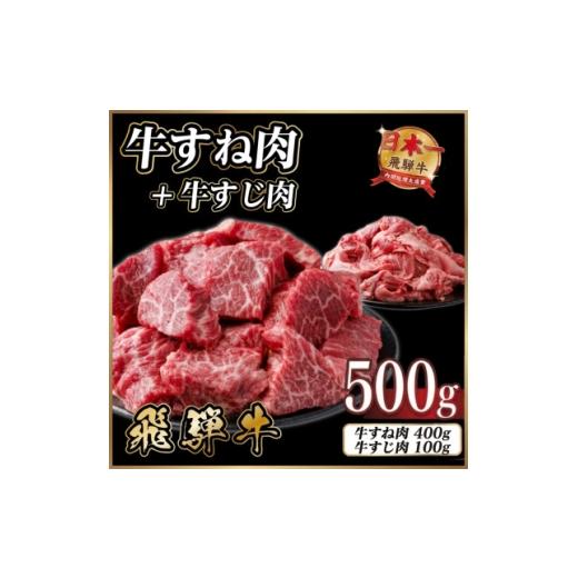 ふるさと納税 牛肉 岐阜県 羽島市 飛騨牛 牛すね肉・牛すじ肉煮込み料理セット 計約500g 冷蔵便 訳あり A4〜A5等級 黒毛和牛 1758525