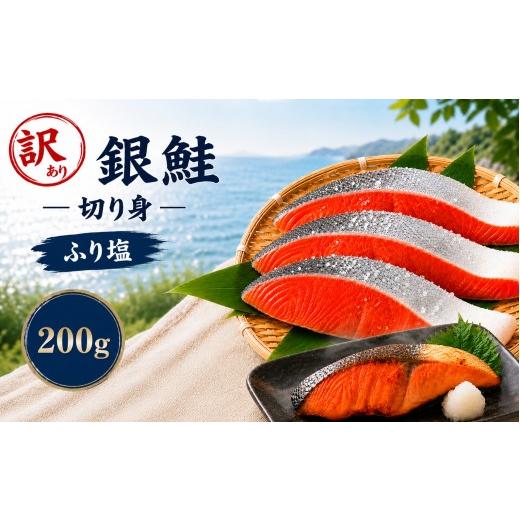 ふるさと納税 魚貝類 鮭 栃木県 真岡市 訳あり 塩銀鮭 チリ産 2切れ|訳あり 銀鮭 塩鮭 鮭 切り身 大容量 栃木県 真岡市 送料無料 2切れ| 5,400円