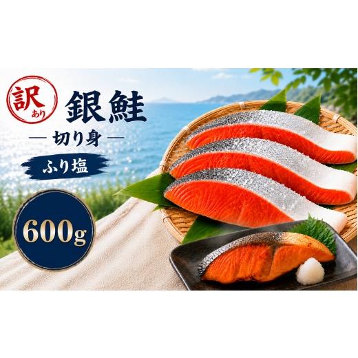 ふるさと納税 魚貝類 鮭 栃木県 真岡市 訳あり 塩銀鮭 チリ産 6切れ|訳あり 銀鮭 塩鮭 鮭 切り身 大容量 栃木県 真岡市 送料無料 6切れ| 11,000円
