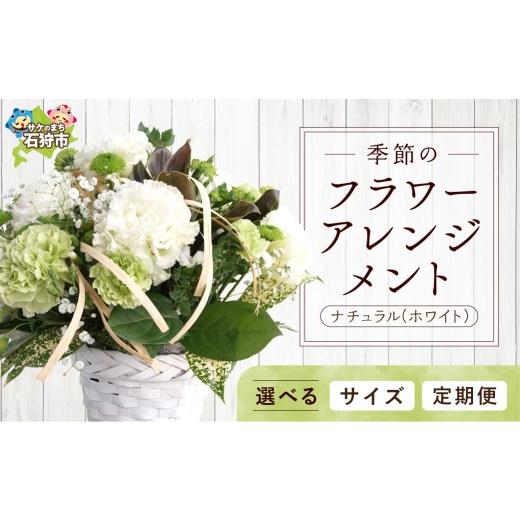 ふるさと納税 雑貨・日用品 花 北海道 石狩市 季節のフラワーアレンジメントM ナチュラル(ホワイト) M 単品 寄附金額:24,000円