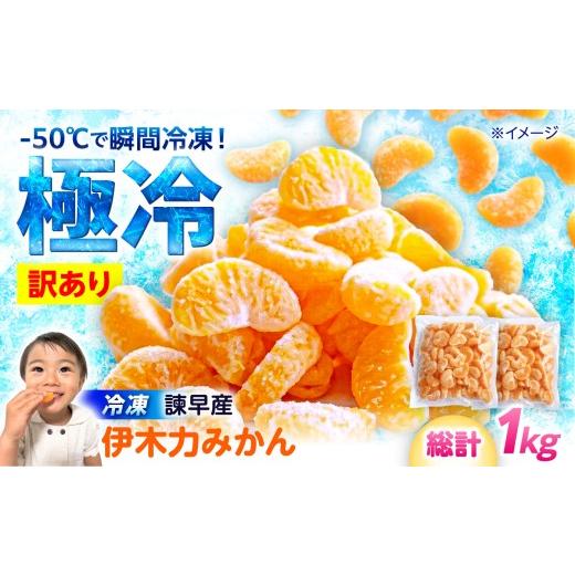 ふるさと納税 果物類 みかん 長崎県 諫早市 訳あり 伊木力温州みかんの冷凍みかん 500g×2 / 冷凍ミカン 冷凍みかん レイトウミカン 伊木力温州みかん 伊木…
