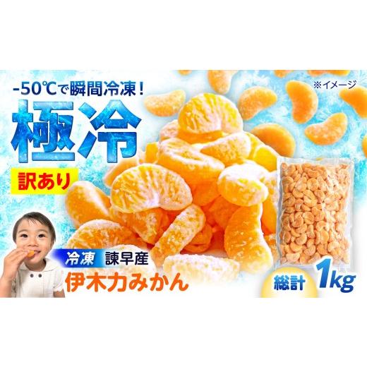 ふるさと納税 果物類 みかん 長崎県 諫早市 訳あり 伊木力温州みかんの冷凍みかん 1kg / 伊木力 温州みかん みかん ミカン 冷凍みかん 冷凍ミカン 蜜柑 佐瀬…