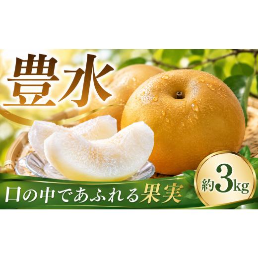 ふるさと納税 梨 千葉県 香取市 梨 豊水 約3kg 2026年8月20日より発送開始 先行予約 8玉 〜 10玉 なし ナシ 水郷梨 ほうすい ホウスイ 果物 果実 くだもの 甘…