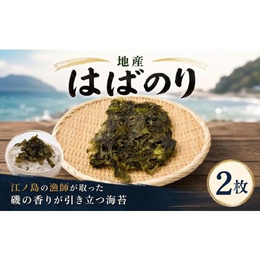 ふるさと納税 のり・海藻 神奈川県 藤沢市 海苔 はばのり 江ノ島 産 地物 2枚 国産 小分け 無添加 おにぎり ふりかけ ご飯のお供 味のり 焼き海苔 干物 ご飯 …