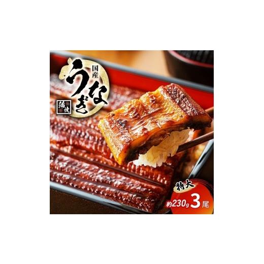 ふるさと納税 うなぎ 福井県 若狭町 特大うなぎの蒲焼き 国産(愛知県産) 約230g前後 3尾  