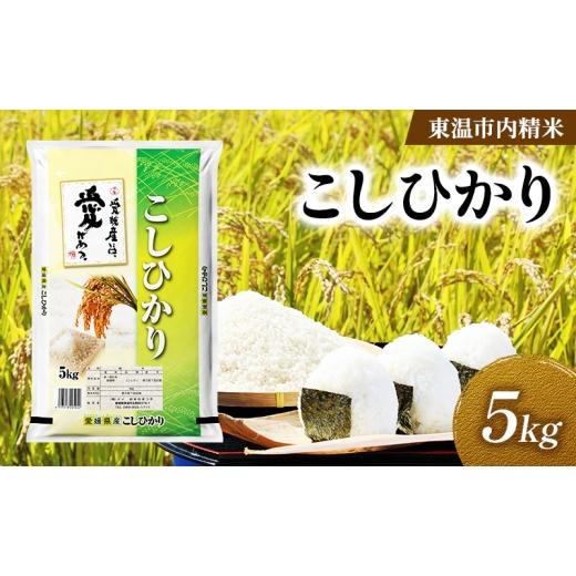 ふるさと納税 米 コシヒカリ 愛媛県 東温市 こしひかり 約5kg 東温市内精米 (愛媛県内産)数量限定 美味しい つや 高級 お米 5キロ 米 精米 白米 ブランド米 …