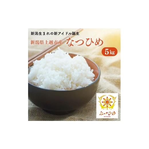 ふるさと納税 米 新潟県 上越市 令和8年産 新米 新ブランド なつひめ 新潟県上越市産 5kg 5キロ 先行予約 新品種 蛍の里