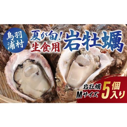 ふるさと納税 牡蠣 生牡蠣 三重県 鳥羽市 夏が旬 期間限定 8月1日に受付終了 12-28生食用岩牡蠣(大福牡蠣)Mサイズ5個入り 岩ガキ 生牡蠣 冷蔵 浦村牡蠣 大…