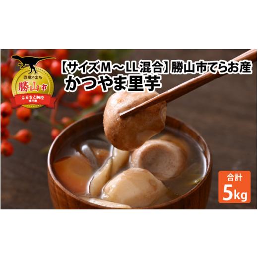 ふるさと納税 野菜類 福井県 勝山市 先行予約 勝山市てらお産 かつやま里芋 5kg×1箱(サイズM〜LL混合) / 里芋 さといも いも 芋 煮物 おすすめ返礼品 福…