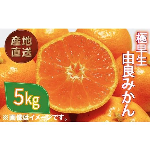 ふるさと納税 果物類 みかん 静岡県 沼津市 極早生 由良 みかん 約 5kg 産地直送 柑橘 みかん 訳あり フルーツ 果物 蜜柑 オレンジ ゆらみかん ミカン ご家庭…