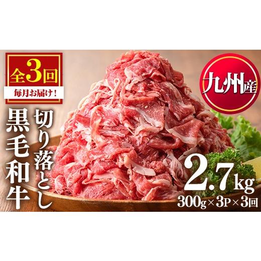 ふるさと納税 牛肉 カレー・シチュー 鹿児島県 日置市 No.1376-A 定期便・全3回 九州産 黒毛和牛切り落とし(総計2.7kg・300g×3P×3回) 牛肉 切落し 切り落し…