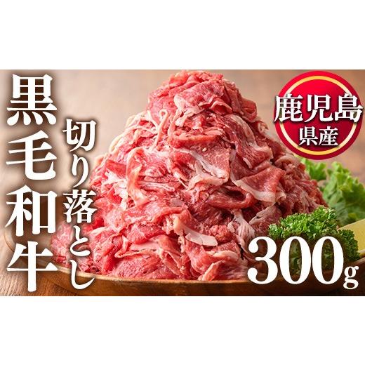 ふるさと納税 牛肉 カレー・シチュー 鹿児島県 日置市 No.1375 鹿児島県産 黒毛和牛切り落とし(計300g) 牛肉 切落し 切り落し 和牛 冷凍 鹿児島産 国産 小分け…