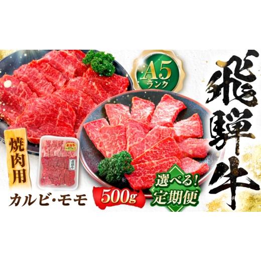 ふるさと納税 牛肉 焼肉・バーベキュー 岐阜県 岐阜市 3回定期便 飛騨牛 A5等級 焼肉用 カルビ・モモ 500g 牛肉 肉 お肉 焼き肉 BBQ 岐阜市 / 肉の松久 ANIP…