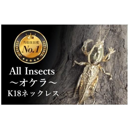 ふるさと納税 アクセサリー ネックレス 山梨県 甲斐市 18金ネックレス オケラ 幻の昆虫アートジュエリーAll insects 個数限定