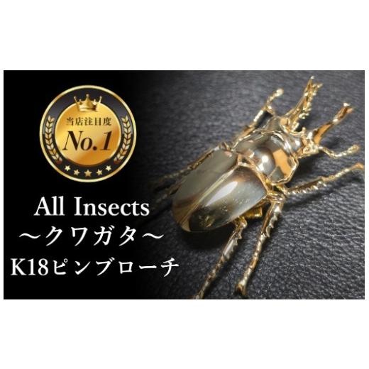 ふるさと納税 アクセサリー ブローチ 山梨県 甲斐市 18金ピンブローチ 世界で希少なオウゴンオニクワガタピンブローチ 幻の昆虫アートジュエリーAll insects…
