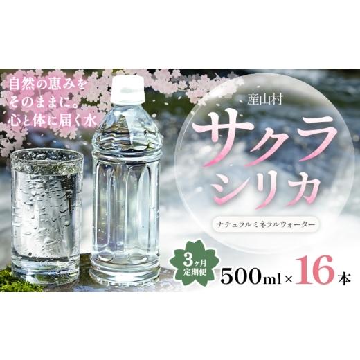 ふるさと納税 水・ミネラルウォーター 500mL〜999mL 熊本県 産山村 3ヶ月定期便 サクラシリカ 500ml 16本 定期便 みずの里[お申込み翌月から出荷]熊本県 阿…