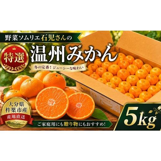 ふるさと納税 果物類 みかん 大分県 杵築市 野菜ソムリエ石児さんの「特選 温州みかん 5kg」 / ミカン みかん 蜜柑 柑橘 5kg 5キロ 柑橘類 甘い 温州みかん …