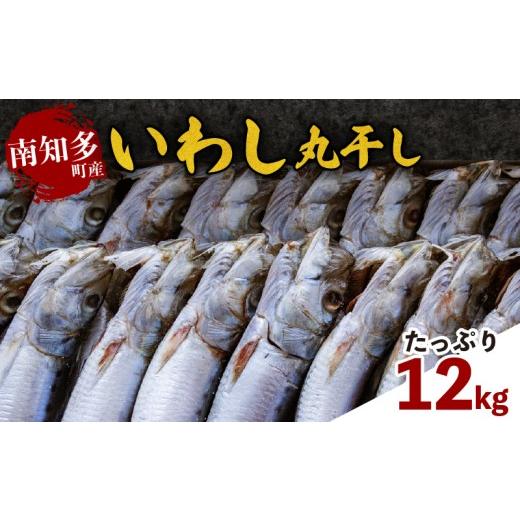 ふるさと納税 干物 イワシ 愛知県 南知多町 いわし丸干し 約12kg(2kg×6) 愛知県 南知多町 師崎産 中光商店 冷凍 大容量 干物 イワシ 魚貝類 魚介 海の幸 お魚…