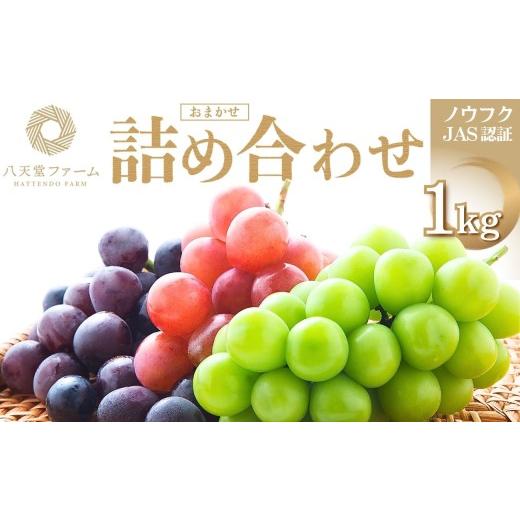 ふるさと納税 ぶどう マスカット 広島県 竹原市 八天堂ぶどう園 おまかせ詰め合わせ 家庭用 1kg ノウフクJAS認証 ぶどう フルーツ シャインマスカット 瀬戸ジ…