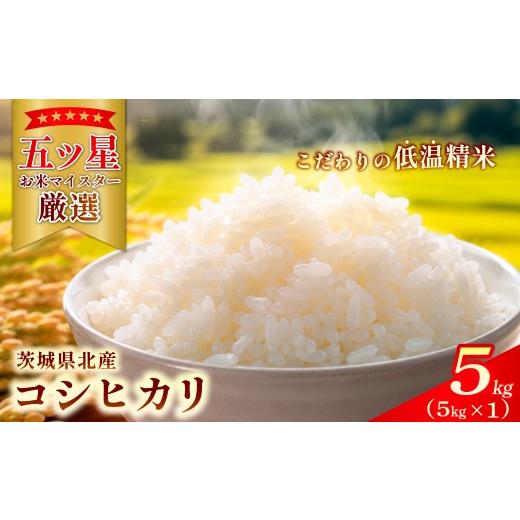 ふるさと納税 米 コシヒカリ 茨城県 常陸太田市 特選こしひかり 常陸の恵 5kg | コシヒカリ こしひかり 米 コメ こめ 白米 精米 5kg 5キロ 五ツ星 お米マイス…