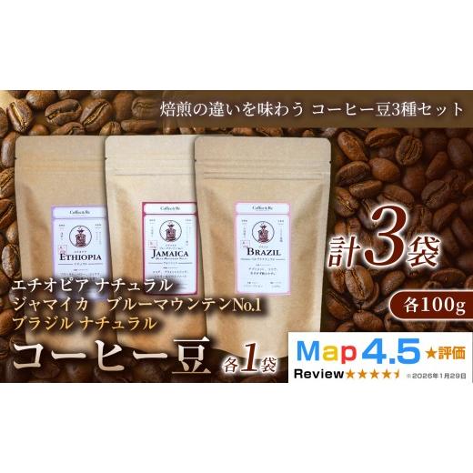 ふるさと納税 コーヒー コーヒー豆 埼玉県 加須市 焙煎の違いを味わう コーヒー豆3種セット (計100g×3袋)×1セットコーヒー豆 エチオピア ジャマイカ ブラジ…