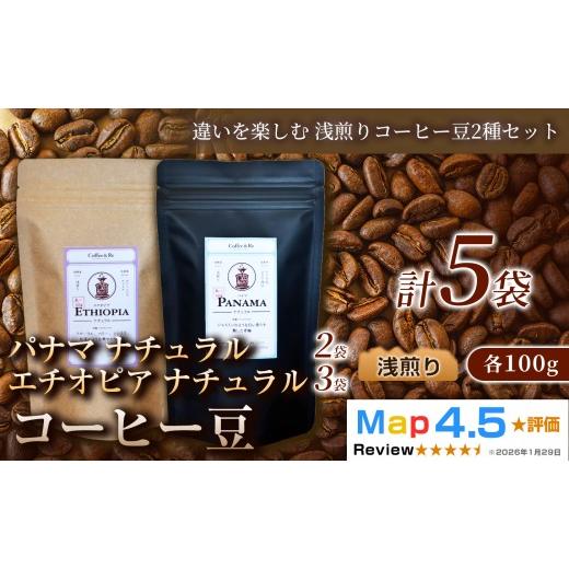 ふるさと納税 コーヒー コーヒー豆 埼玉県 加須市 違いを楽しむ 浅煎りコーヒー豆2種セット (計100g×5袋)×1セット コーヒー豆(浅煎り)エチオピア産 ナチ…