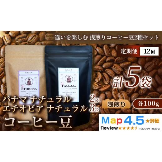 ふるさと納税 コーヒー コーヒー豆 埼玉県 加須市 定期便 違いを楽しむ 浅煎りコーヒー豆2種セット (計100g×5袋)×1セット×全12回 コーヒー豆(浅煎り)エ…