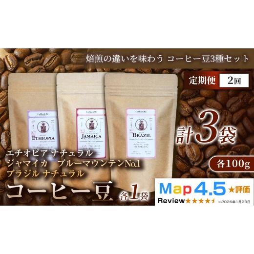 ふるさと納税 コーヒー コーヒー豆 埼玉県 加須市 定期便 焙煎の違いを味わう コーヒー豆3種セット (計100g×3袋)×1セット×全2回 コーヒー豆 エチオピア ジ…