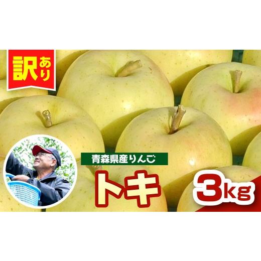 ふるさと納税 りんご 青森県 五所川原市 先行受付 10月中旬以降順次発送 りんご 3kg トキ 青森県産 訳あり とき 農家直送 傷 キズ ワケアリ 林檎 リンゴ appl…