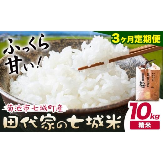 ふるさと納税 米 ヒノヒカリ 熊本県 菊池市 3ヶ月定期便 令和7年産 菊池市七城町産 田代家の七城米 七城ヒノヒカリ 白米 10kg 田代こめや[お申込み翌月から…