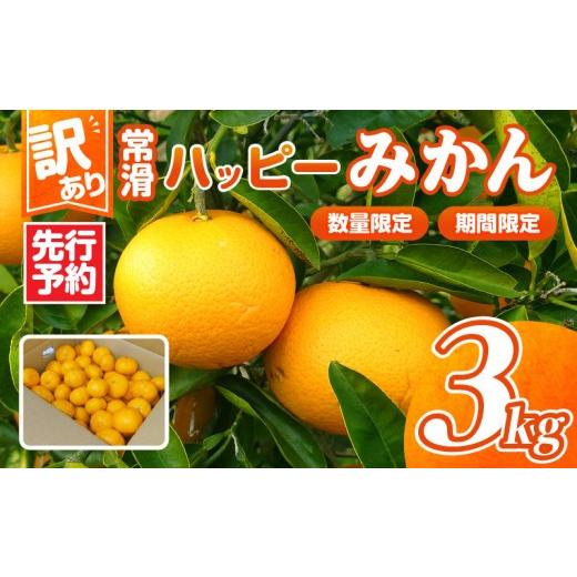 ふるさと納税 果物類 みかん 愛知県 常滑市 先行予約 訳あり 常滑ハッピーみかん 3kg|常滑ハッピーみかん 果物 みかん フルーツ ミカン 訳あり 数量限定 期…