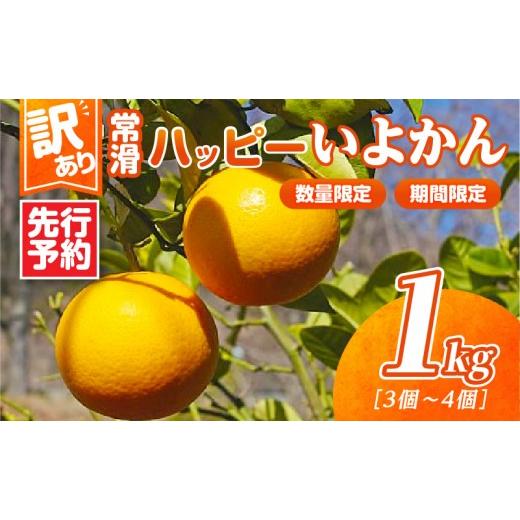 ふるさと納税 みかん・柑橘類 愛知県 常滑市 先行予約 訳あり 常滑ハッピーいよかん 1kg (3〜4個)|果物 フルーツ 柑橘 伊予柑 イヨカン みかん 訳あり ご…