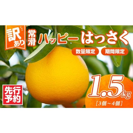 ふるさと納税 みかん・柑橘類 愛知県 常滑市 先行予約 訳あり 常滑ハッピーはっさく 1.5kg (3〜4個)| 果物 フルーツ 柑橘 八朔 ハッサク みかん 訳あり ご…