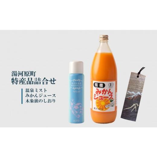 ふるさと納税 果汁飲料 みかん 神奈川県 湯河原町 湯河原町特産品詰め合わせ