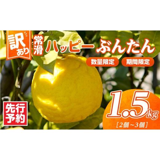 ふるさと納税 みかん・柑橘類 愛知県 常滑市 先行予約 訳あり 常滑ハッピーぶんたん 1.5kg(2〜3個)|常滑ハッピーぶんたん 果物 みかん フルーツ ミカン ぶ…