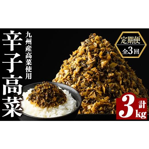 ふるさと納税 加工品等 漬物 鹿児島県 姶良市 a568-C 3回定期便 九州産辛子高菜 計3kg(1kg×3回) 九州新進 姶良市 国産 九州産 たかな 漬物 漬け物 ご飯のお供…