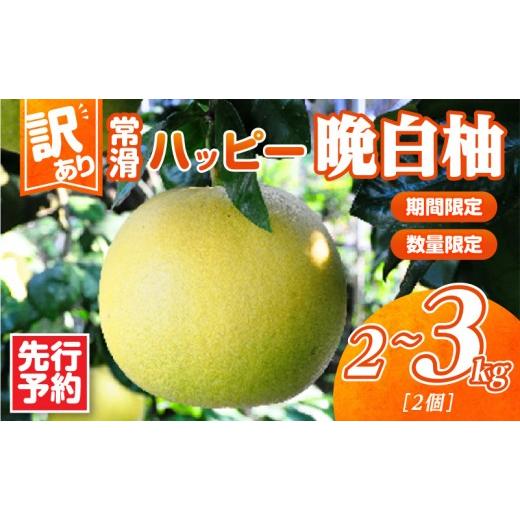 ふるさと納税 みかん・柑橘類 愛知県 常滑市 先行予約 訳あり 常滑ハッピー晩白柚 2kg〜3kg(2個)|果物 フルーツ 柑橘 ばんぺいゆ バンペイユ 大きい みか…