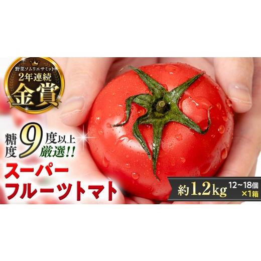 ふるさと納税 野菜類 トマト 茨城県 桜川市 [ 2027年 収穫分 ]2〜3月配送 スーパーフルーツトマト 中箱 約1.2kg × 1箱 (12〜18玉/1箱) 糖度9度以上 先行予…