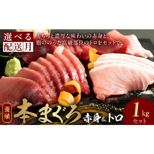 ふるさと納税 マグロ 和歌山県 湯浅町 本マグロ(養殖)赤身&トロセット 1kg _AZ6026 通常発送