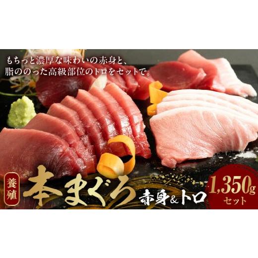 ふるさと納税 マグロ 和歌山県 湯浅町 9月発送 本マグロ (養殖) 赤身 & トロ セット 1350g _AZ6020_09 9月発送