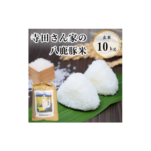 ふるさと納税 玄米 兵庫県 養父市 令和7年産 寺田さん家の八鹿豚米 コシヒカリ 玄米 10kg 1757841