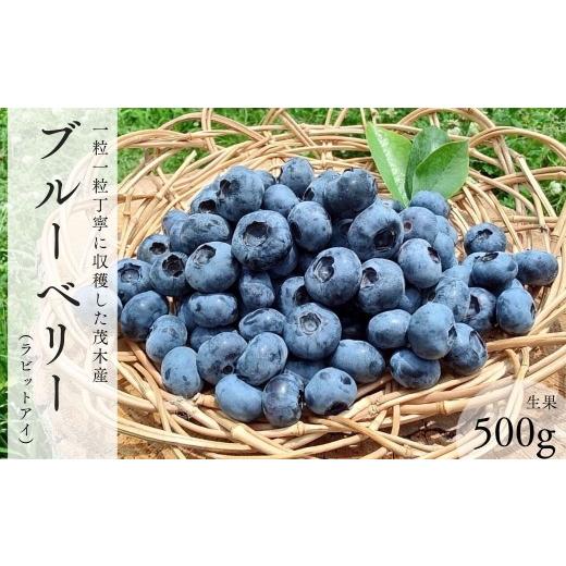 ふるさと納税 果物類 栃木県 茂木町 ブルーベリー(ラビットアイ) 生果 500g | ブルーベリー ぶるーべりー ハイブッシュ 冷凍 フルーツ 果物 ベリー ジャム …
