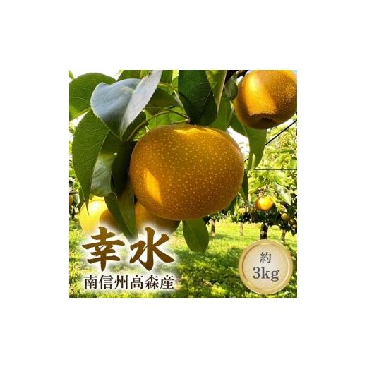 ふるさと納税 梨 長野県 高森町 幸水 3kg箱