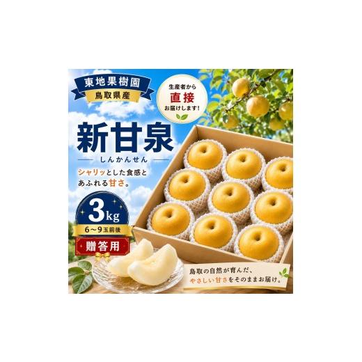 ふるさと納税 梨 鳥取県 湯梨浜町 363M.新甘泉3kg 東地果樹園